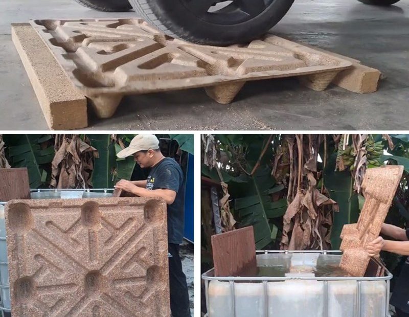 Molded Wood Pallet