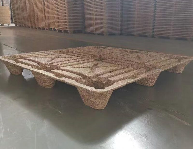 Molded Pallet