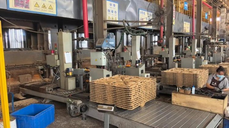 Quality inspection station | Freshly molded pallets awaiting finish | Human-led quality control in industrial plant