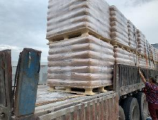Bulk cargo shipment | Large bags on presswood pallets in truck | Heavy-duty logistics for construction materials