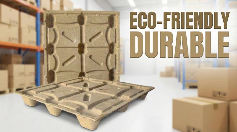 Eco-Friendly Pallets in Warehouse