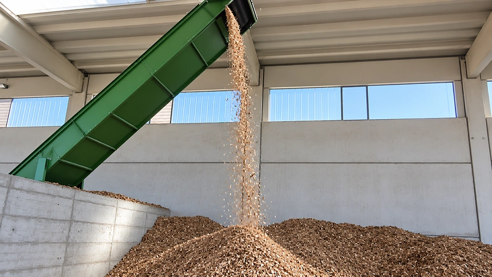 Inclined green conveyor discharging shredded wood chips into an indoor biomass storage bay