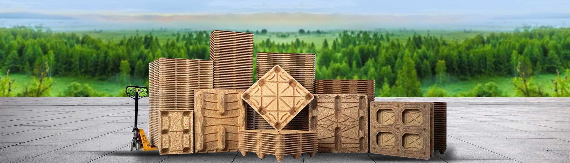 Eco-Friendly Pallet Logistics | Sustainably sourced presswood pallets | Renewable energy integrated supply chain